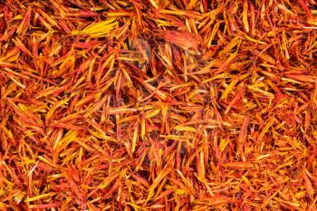 food background - many dried safflower petals