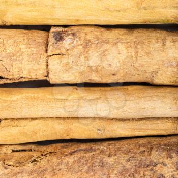square food background - several sticks of continental ceylon cinnamon close up