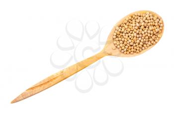 top view of white mustard seeds (sinapis alba) in wood spoon isolated on white backgrouns