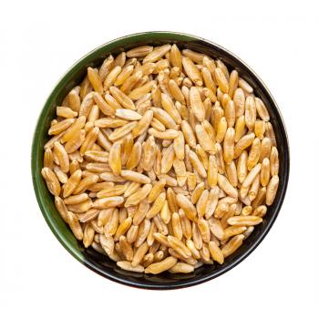top view of Kamut Khorasan wheat grains in round bowl isolated on white background