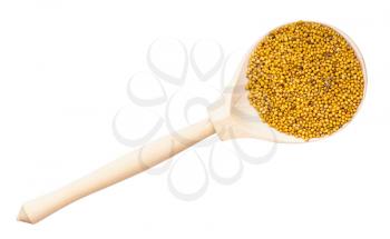 top view of yellow seeds of Sinapis Alba mustard in wood spoon isolated on white background