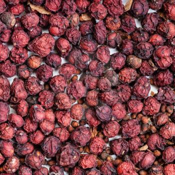 square food background - dried magnolia berries (Schisandra chinensis fruits) close up