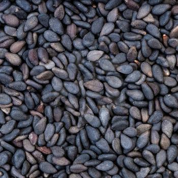 square food background - black sesame seeds close up