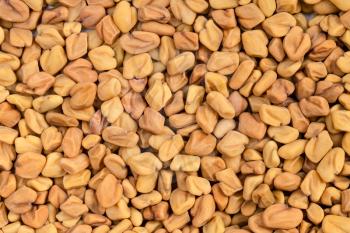food background - many whole fenugreek seeds