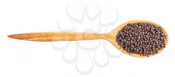 top view of wood spoon with black mustard seeds isolated on white background