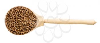 top view of wood spoon with roasted buckwheat grains isolated on white background