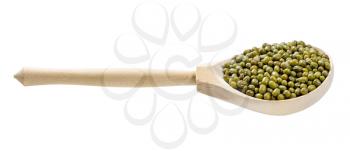 wooden spoon with green mung bean isolated on white background