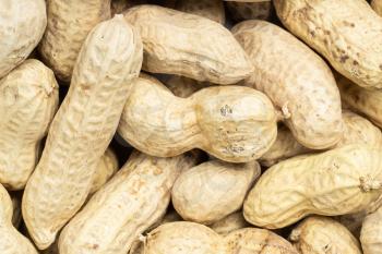 food background - many whole peanut seeds