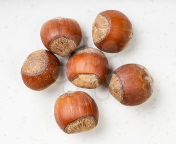 several whole hazelnuts close up on gray ceramic plate