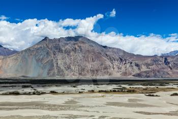 Nubra valley in Himalayas. Ladakh, India