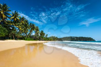 Tropical vacation holiday background - paradise idyllic beach. Sri Lanka