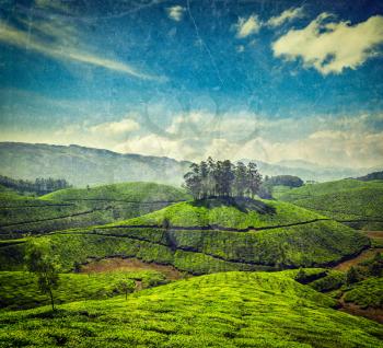 Vintage retro hipster style travel image of tea plantations with grunge texture overlaid. Munnar, Kerala, India
