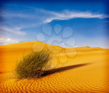 Dunes of Thar Desert. Sam Sand dunes, Rajasthan, India. Vintage retro hipster style