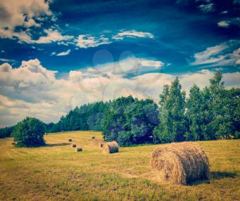 Vintage retro hipster style travel image of Agriculture background - Hay bales on field in summer