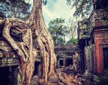 Vintage retro effect filtered hipster style travel image of ancient ruins with tree roots, Ta Prohm temple, Angkor, Cambodia