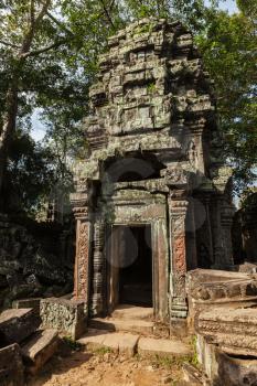 Travel Cambodia concept background - ancient ruins, Ta Prohm temple, Angkor, Cambodia