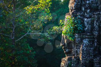 Ancient stone face of Bayon temple, Angkor, Cambodia with growing plants