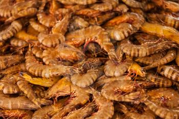 Shrimps close up in market in Asia. Shallow depth of fiels, selective focus