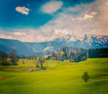 Vintage retro hipster style travel image of German idyllic pastoral countryside in spring with Alps in background. Bavaria, Germany