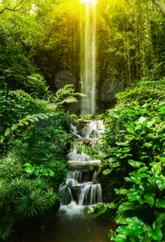 Tropical waterfall in forest