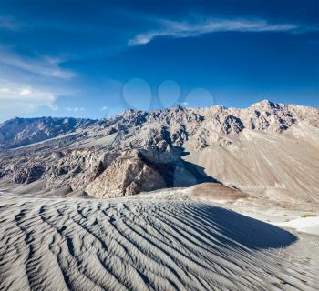 Sand dunes in Himalayas. Hunder, Nubra valley, Ladakh, India