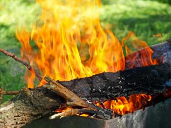 Barbecue bonfire taken closeup against green grass.