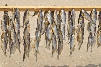 Dried fishes hanging on a crossbeam for sale.
