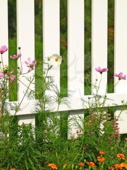 White fence on green grass with flowers taken closeup.