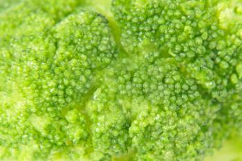 Green boiled broccoli taken closeup as background.