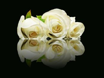 Three white roses with reflection on black background.