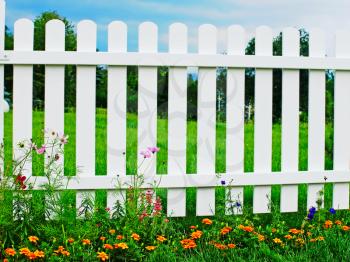 White wooden fence on green grass with flowers.