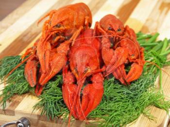 Red boiled crawfishes and green dill on a cutting board taken closeup.