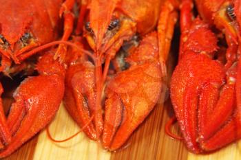 Red boiled crawfishes taken closeup on a wooden board.