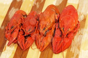 Four red boiled crawfishes taken closeup on a wooden board.