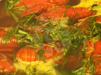 Red boiling crawfishes and green dill.