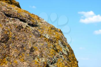 Lichen and moss on old granite rock taken closeup against of blue sky.