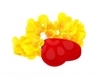 Red heart and yellow flower isolated on a white background.
