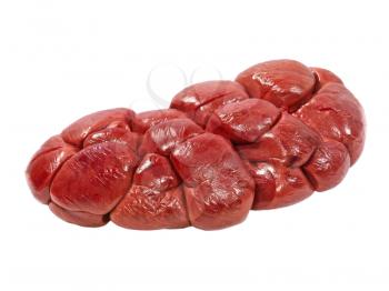 Beef kidney taken closeup isolated on a white background.