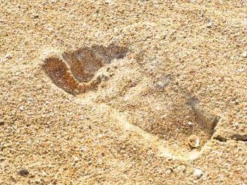 Human trace on the yellow sand on a beach taken closeup.