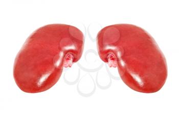 Two pig kidney taken closeup isolated on a white background.