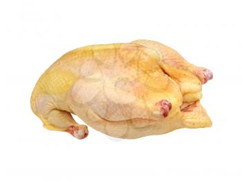Uncooked chicken isolated on a white background.