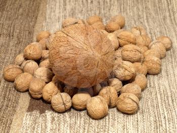 Close up of scattered  walnuts and coconut in their shells.Background.