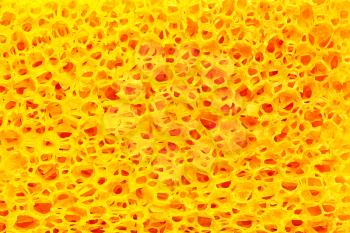 Yellow sponge porous texture.