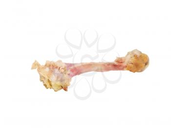 The picked chicken bone isolated on a white background.