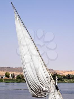 White feluccas sail against island Elefantina in Assuane.