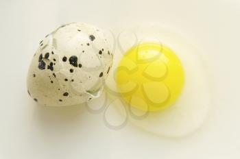Broken quail egg with shell taken closeup on white background.