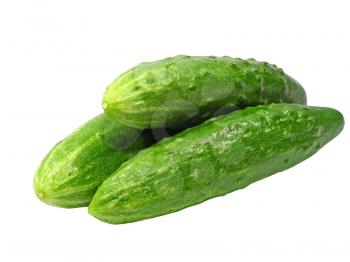 Three fresh green cucumbers taken closeup isolated on white background.