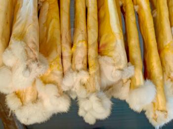 White rabbit fur skin drying for sale.