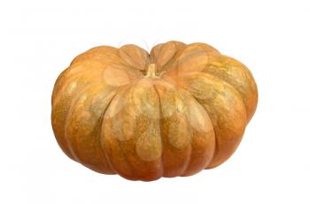 Ripe yellow pumpkin isolated on white background.