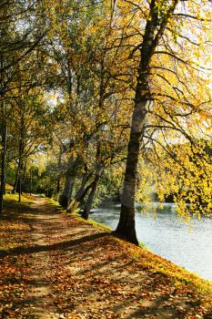 Picturesque walkway in autumn park near pond.